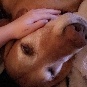 Meet your Posher, Bella